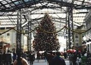 thumbnail image of Tokyo Disney Christmas tree