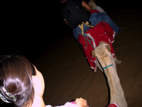 Camel ride at a Bedouin Camp