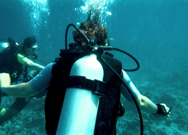 underwater image scuba diving in Maldives